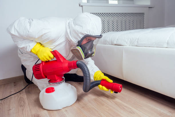 Best Termite Control Services  in Robertsville, NJ