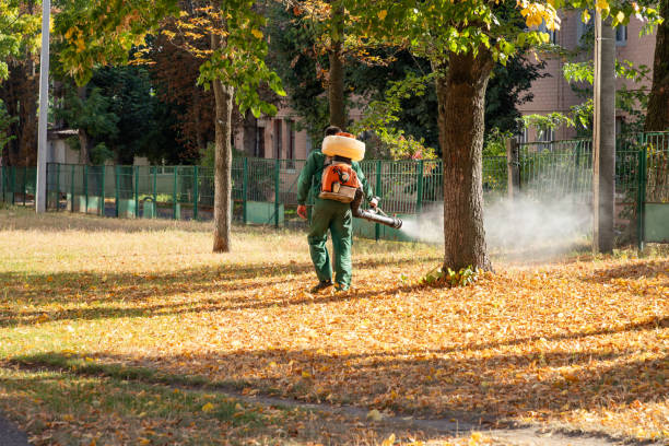 Best Rodent Control Near Me  in Robertsville, NJ