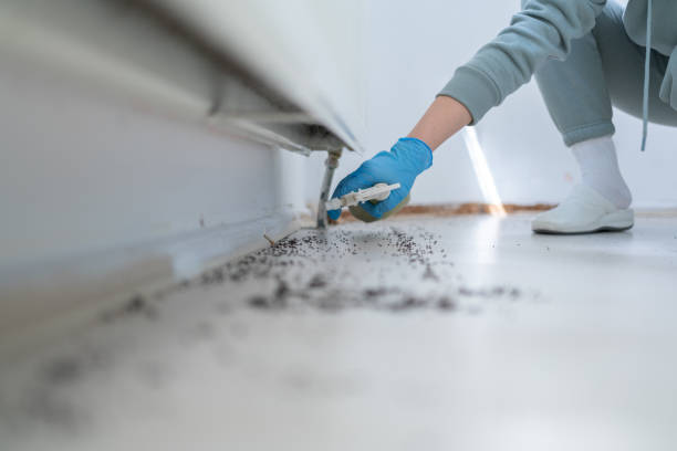 Reliable Robertsville, NJ Pest Control Solutions